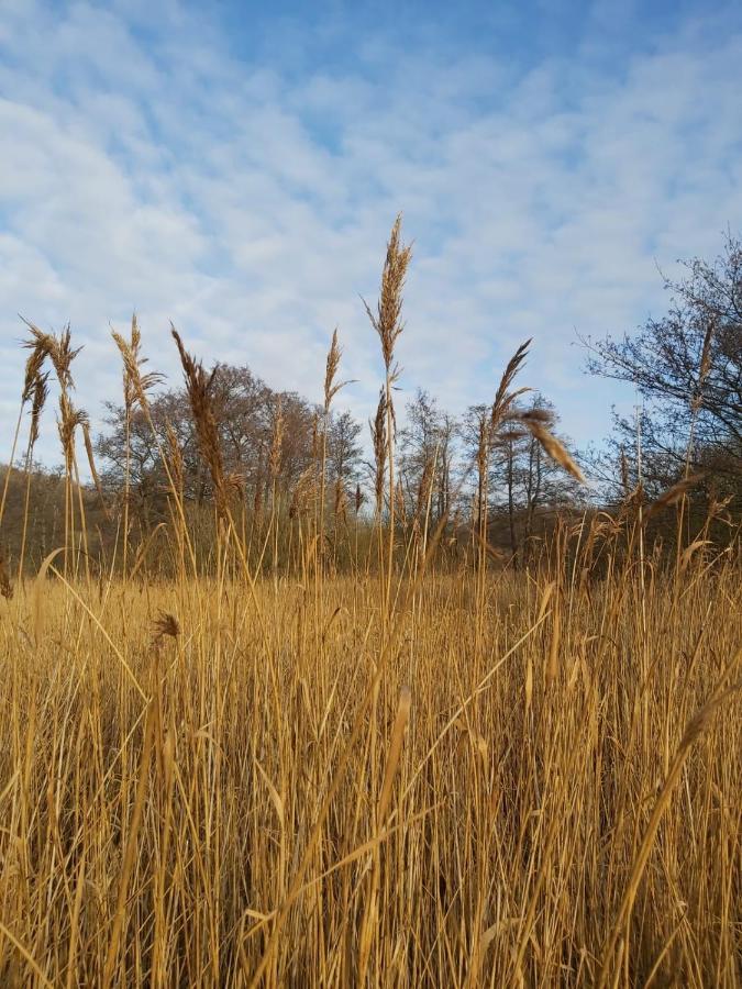 Foerde Koje Leilighet Westerholz Eksteriør bilde